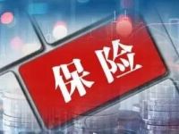 股票配置显著提升！两大保险巨头齐发半年报