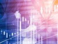 护航新能源车“出海”，保险业发声！