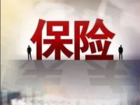从“小众”到“标配”！超1700家A股公司抢投董责险，出险率上升倒逼市场变局