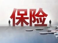 过去一年，六家新保险机构开张！