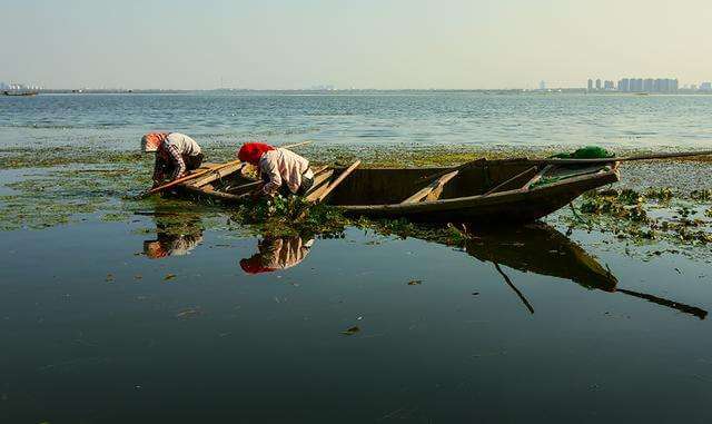 黄金td闭市后现货是涨还是跌